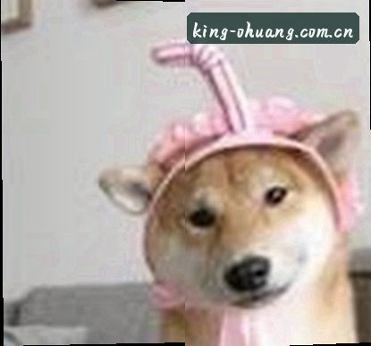 张涛